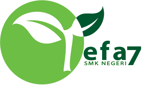 Logo TEFA